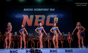 BIKINI НОВИЧКИ 164